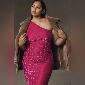 Anthropologie Hutch Dress